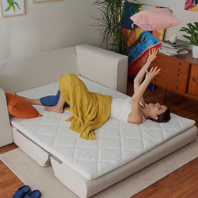 CaseStudies-bg-cushie